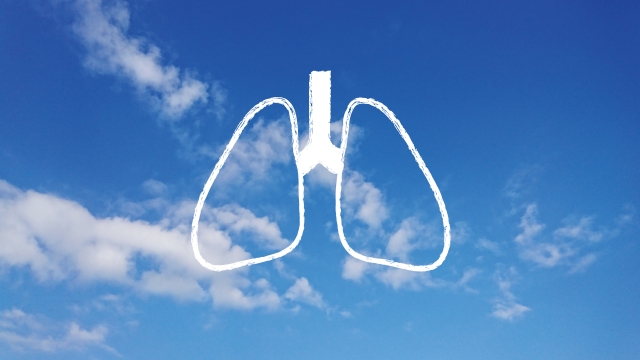 肺のイラスト、背景は空