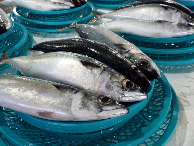 鮮魚の販売